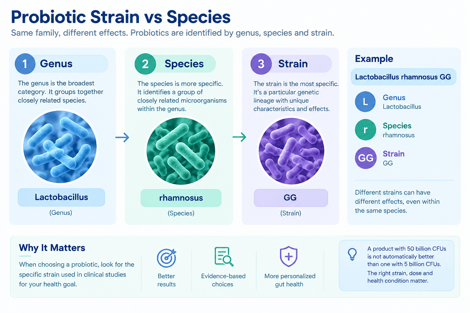 “Probiotic genus species and strain explained”