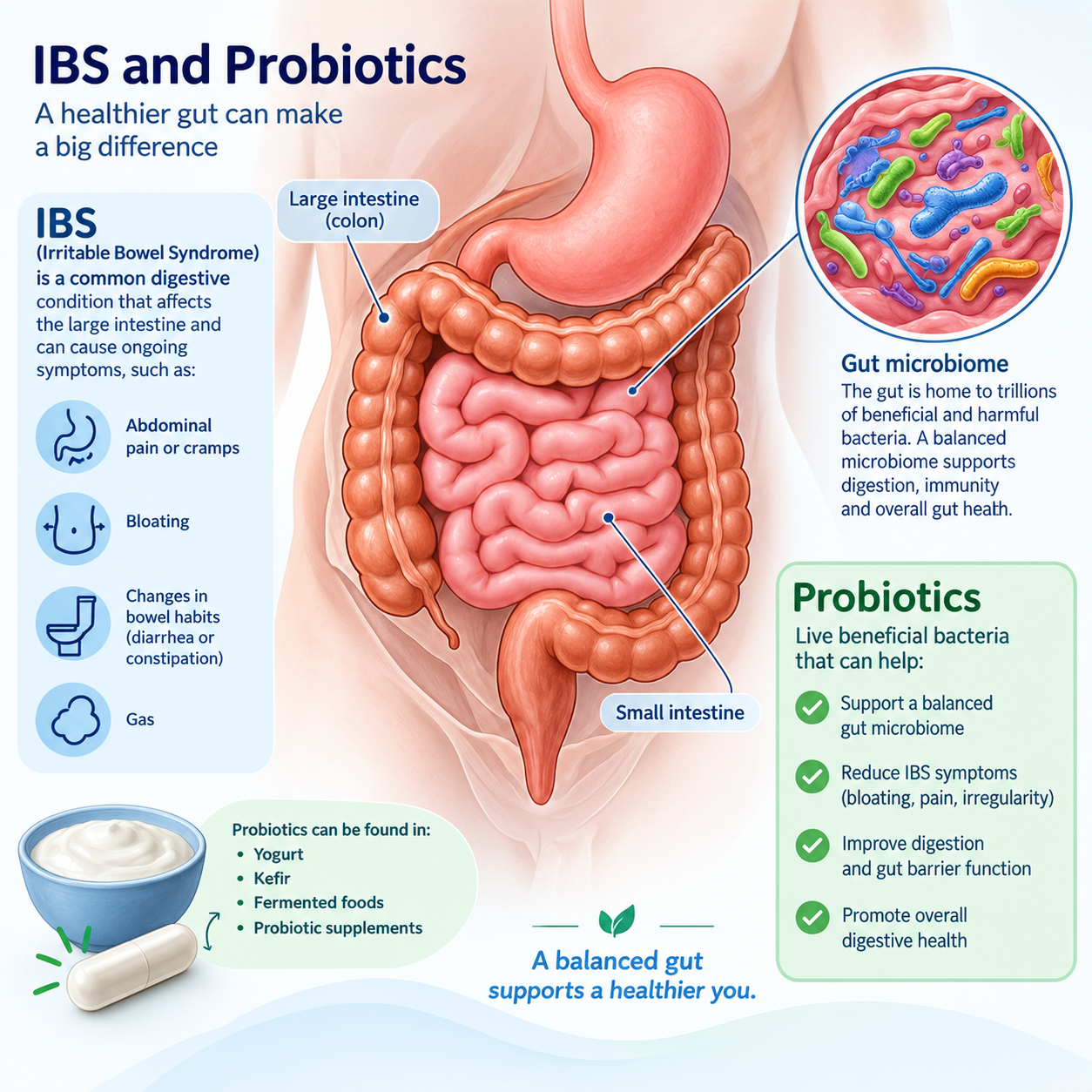 “Probiotic strains studied for IBS symptoms and digestive health