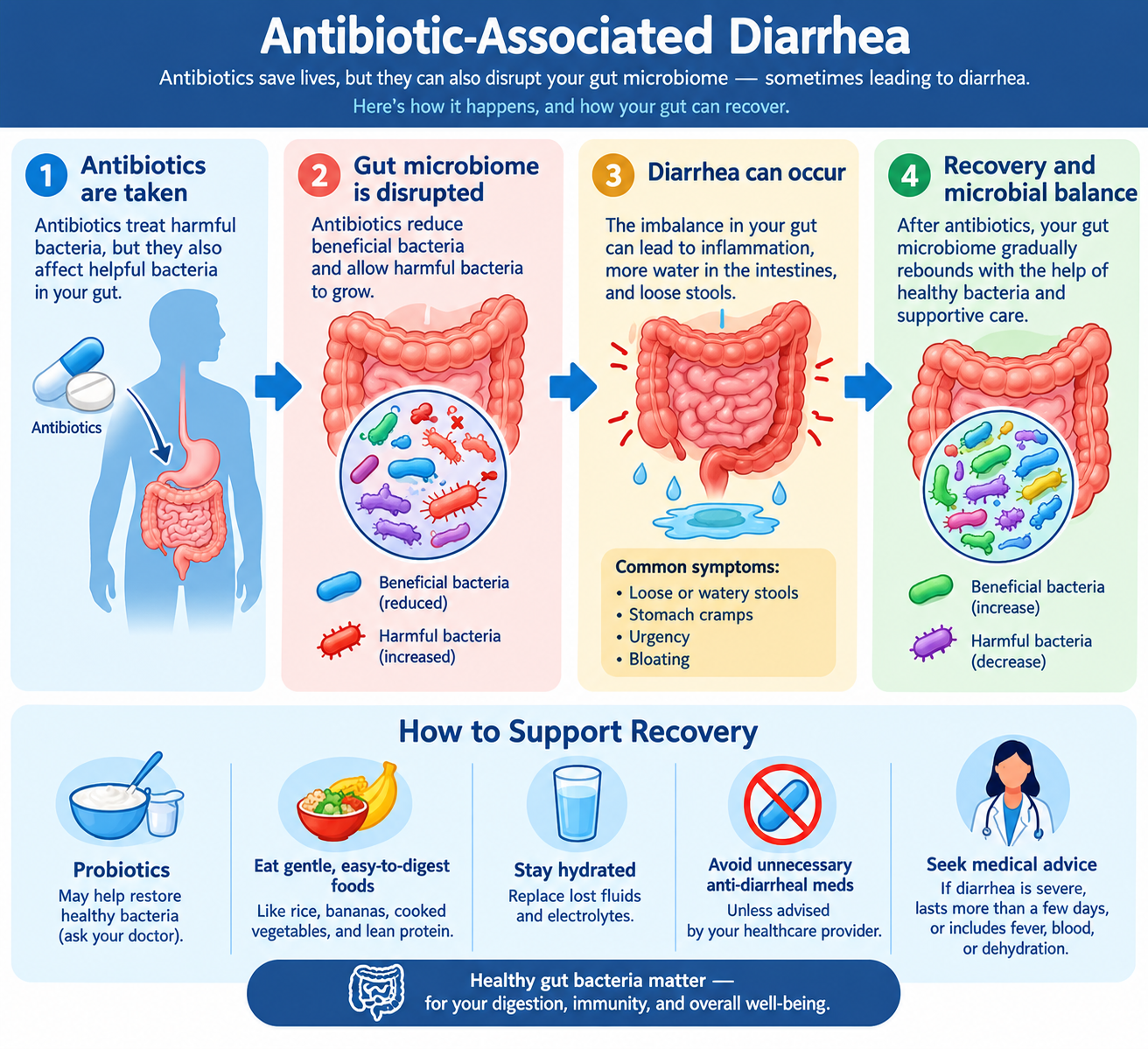 “Antibiotic-associated diarrhea and changes to the gut microbiome”